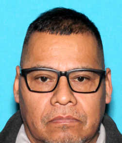 Photo of offender